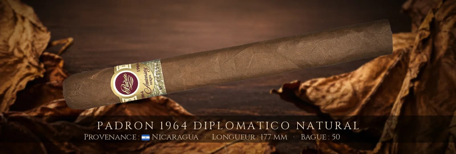 Padron 1964 Diplomatico NATURAL — Padron — Nicaragua