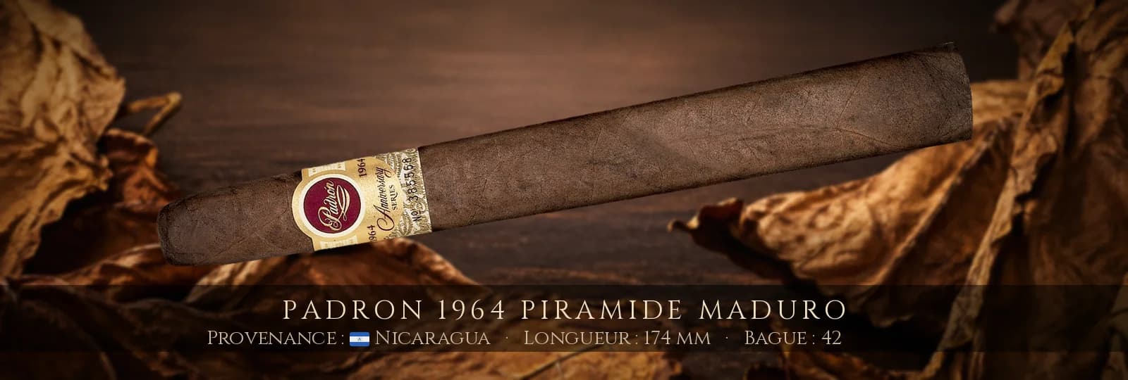 Padron 1964 Piramide MADURO — Padron — Nicaragua