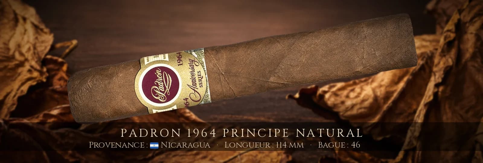Padron 1964 Principe NATURAL — Padron — Nicaragua