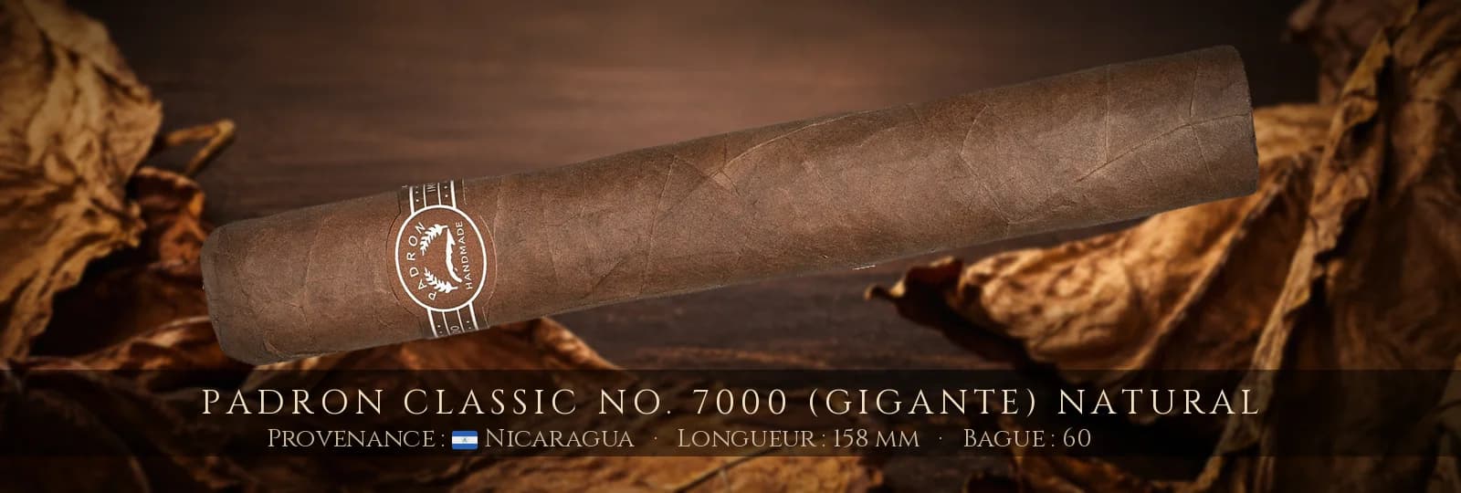 Padron Classic No. 7000 (Gigante) NATURAL — Padron — Nicaragua