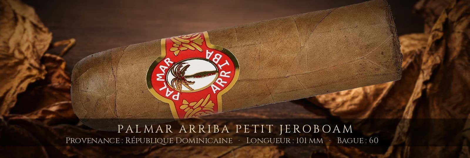 Palmar Arriba Petit Jeroboam — Palmar Arriba — République Dominicaine