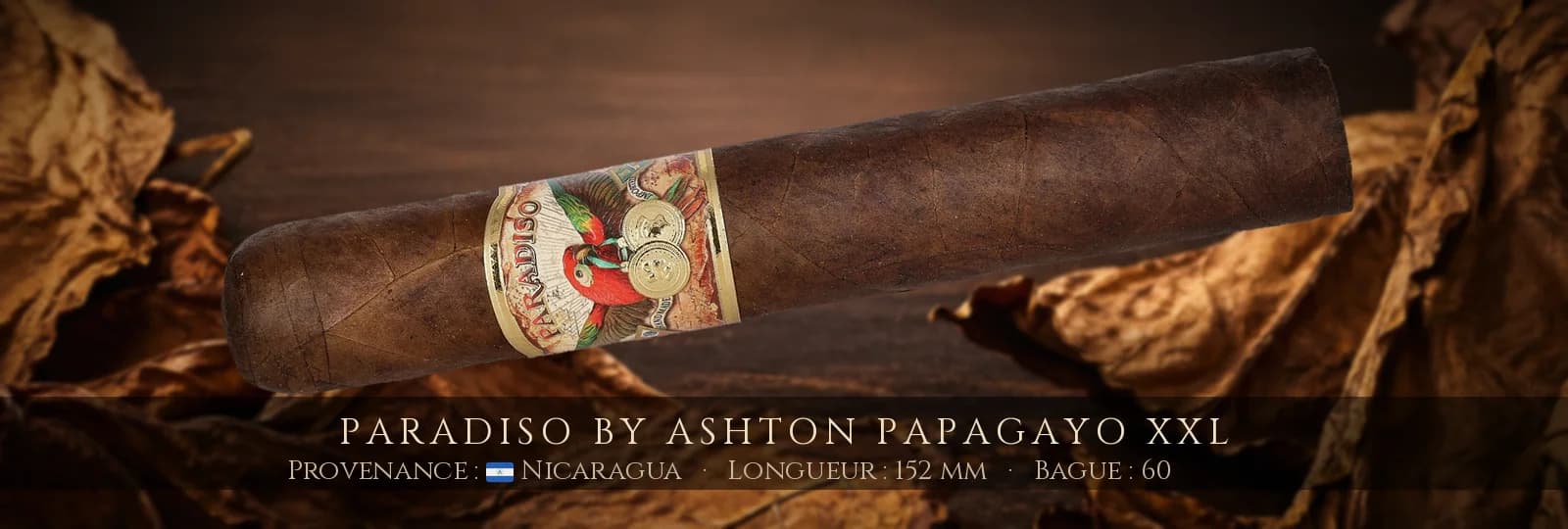 Paradiso By Ashton Papagayo XXL — Paradiso — Nicaragua