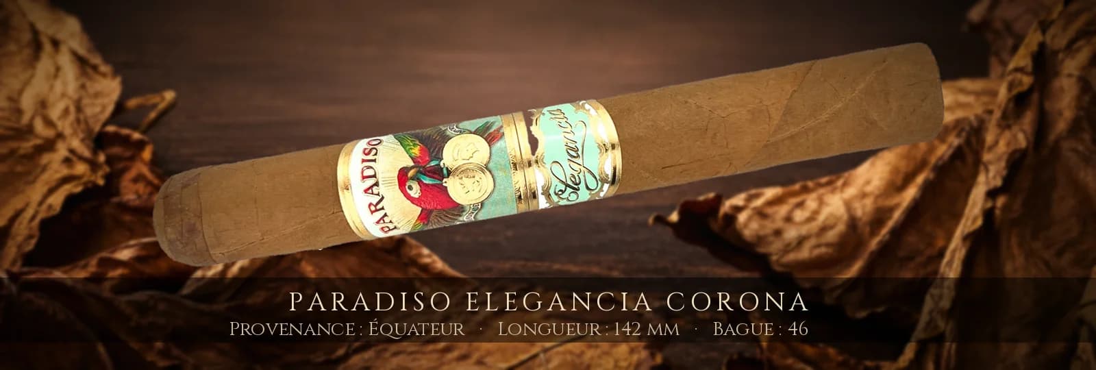 Paradiso Elegancia Corona — Paradiso — Équateur