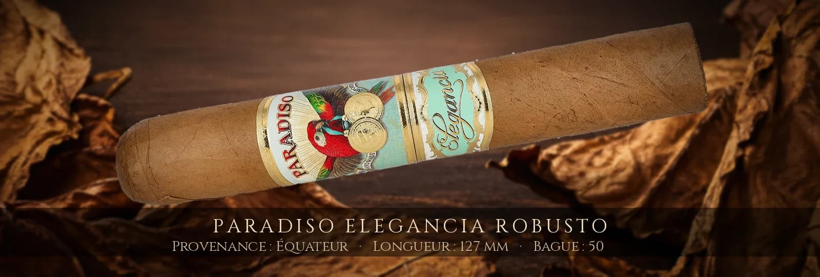 Paradiso Elegancia Robusto — Paradiso — Équateur