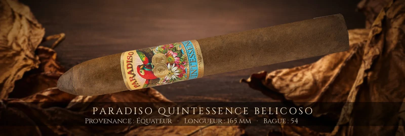 Paradiso Quintessence Belicoso — Paradiso — Équateur