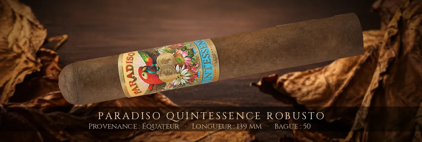 Paradiso Quintessence Robusto — Paradiso — Équateur