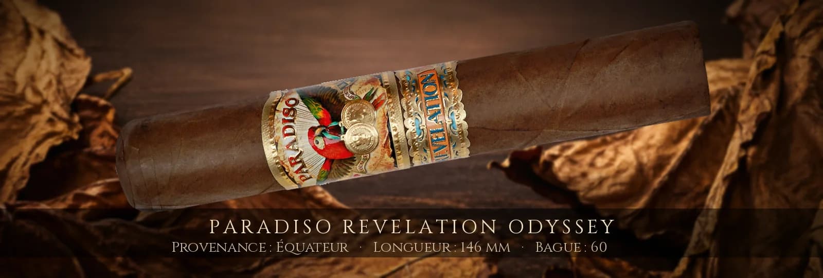 Paradiso Revelation Odyssey — Paradiso — Équateur