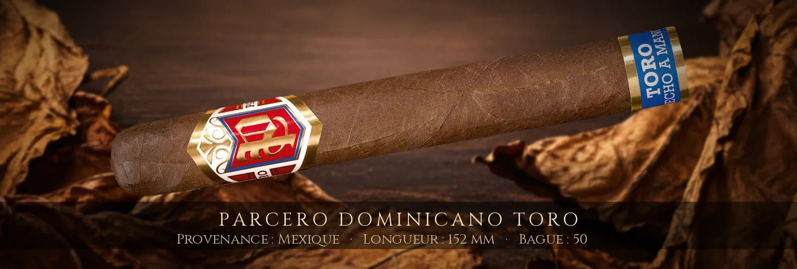 Parcero Dominicano Toro — Parcero — Mexique