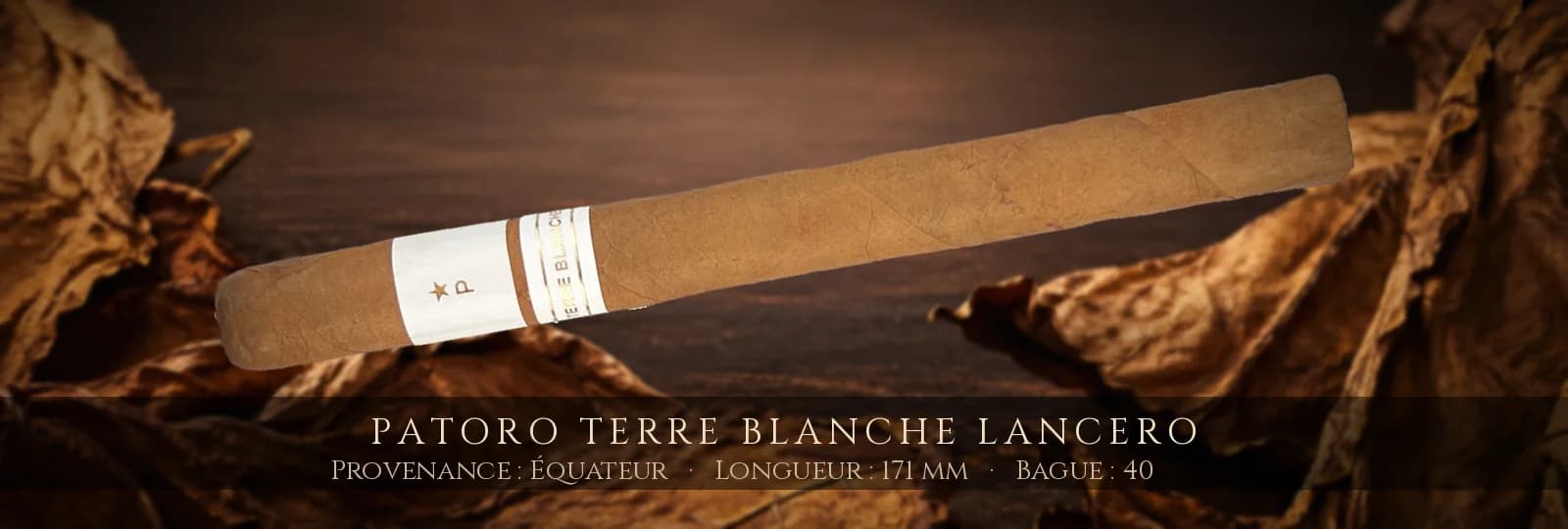 Patoro Terre Blanche Lancero — Patoro — Équateur
