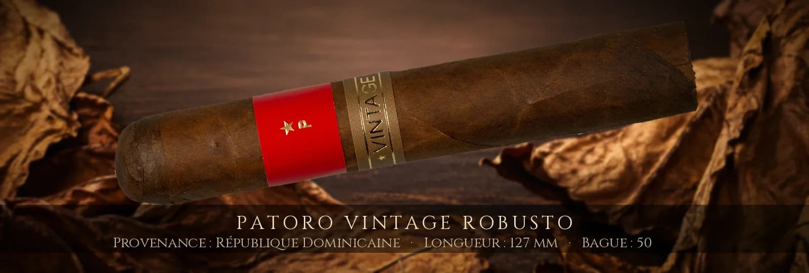 Patoro Vintage Robusto — Patoro — République Dominicaine