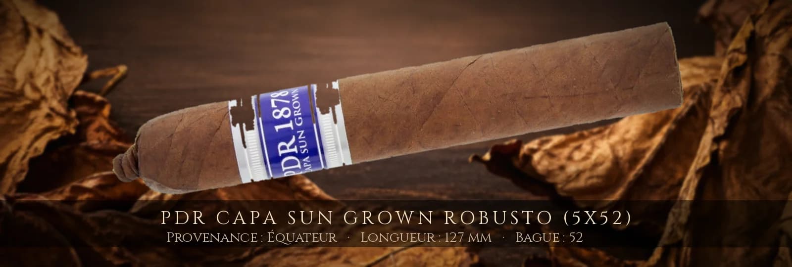 PDR Capa Sun Grown Robusto (5x52) — PDR — Équateur