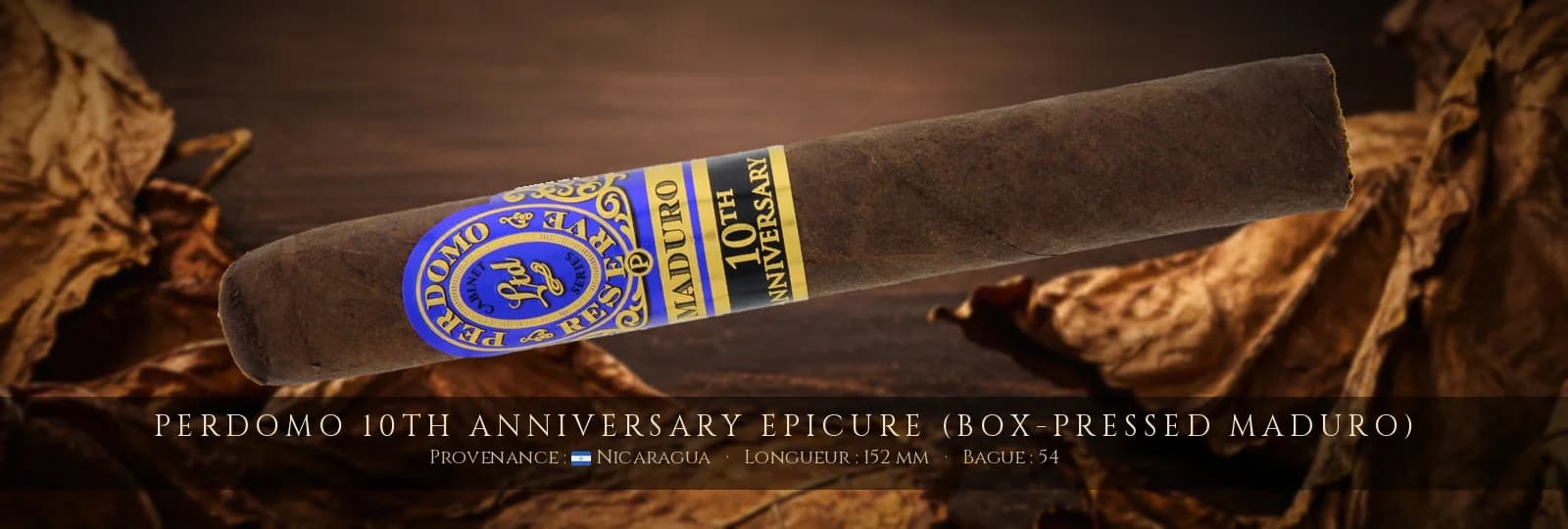 Perdomo 10th Anniversary Epicure (Box-Pressed Maduro) — Perdomo — Nicaragua