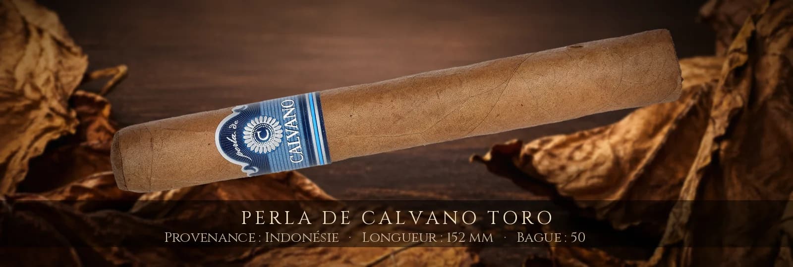 Perla de Calvano Toro — Perla de Calvano — Indonésie