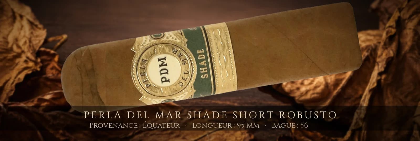 Perla del Mar Shade Short Robusto — Perla del Mar — Équateur
