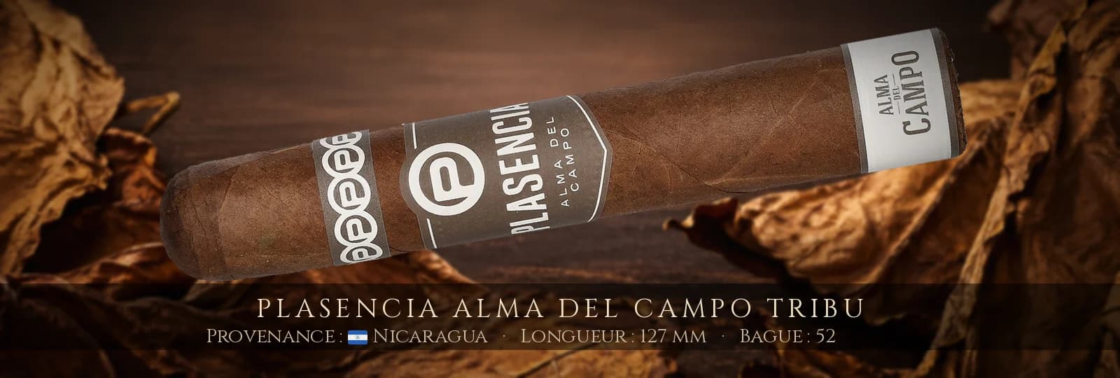 Plasencia Alma del Campo Tribu — Plasencia — Nicaragua