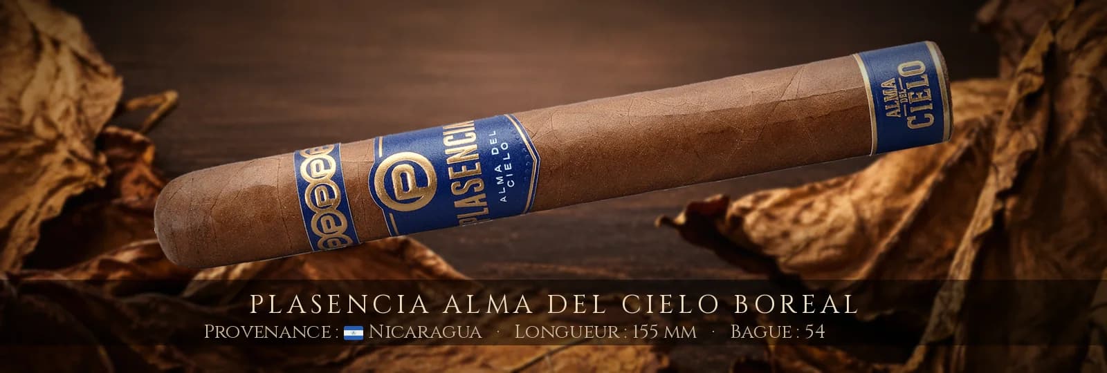 Plasencia Alma del Cielo Boreal — Plasencia — Nicaragua