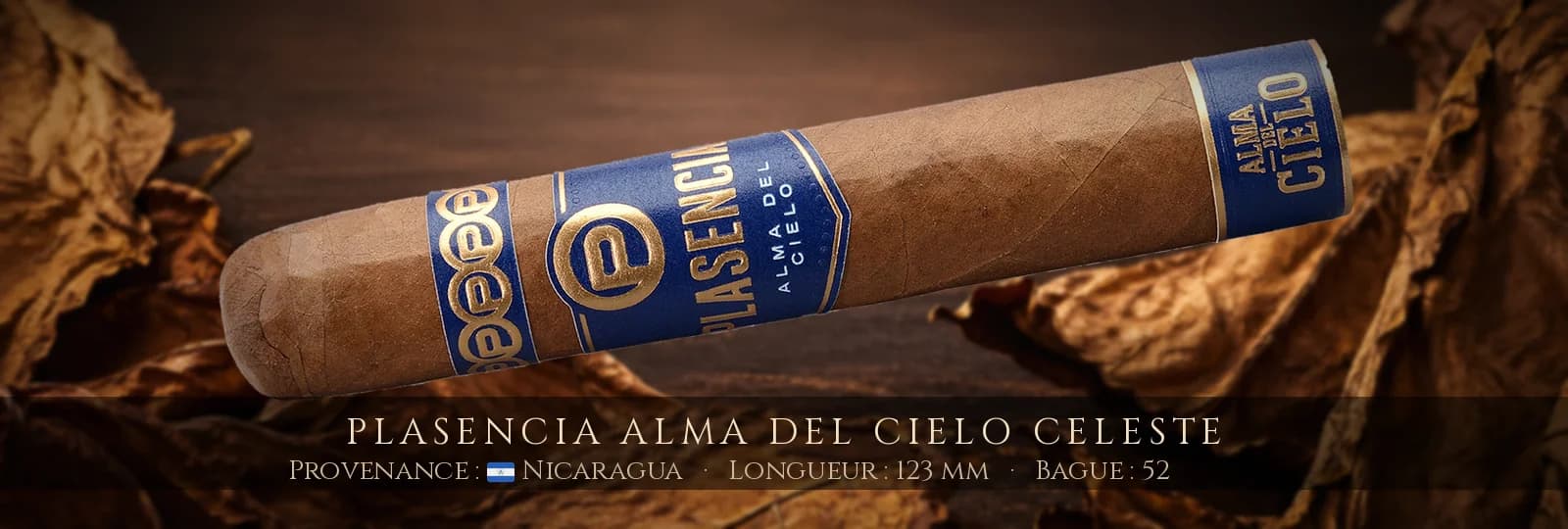 Plasencia Alma del Cielo Celeste — Plasencia — Nicaragua
