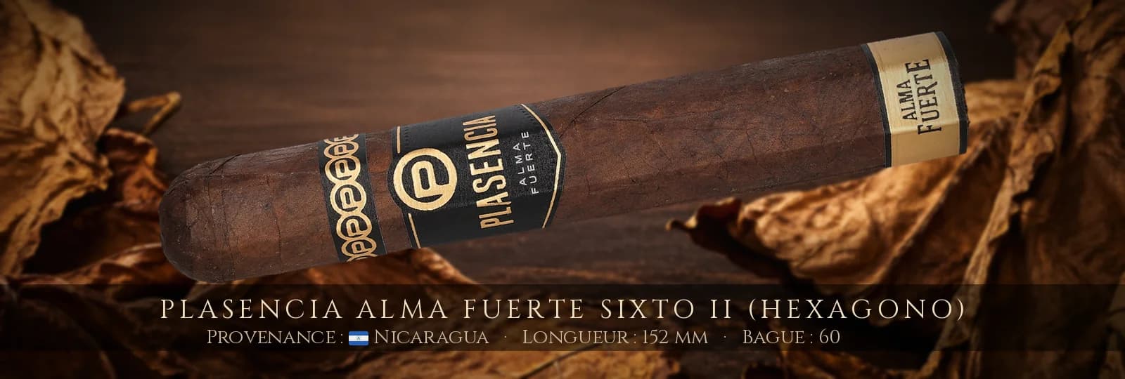 Plasencia Alma Fuerte Sixto II (Hexagono) — Plasencia — Nicaragua