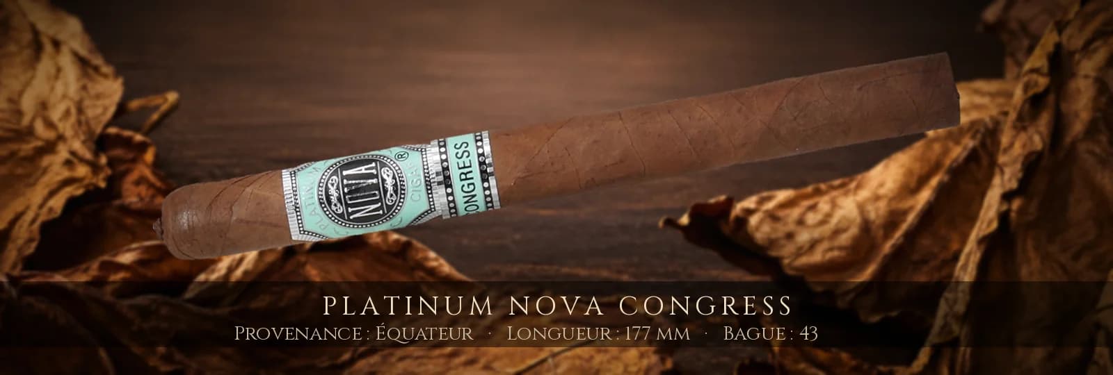 Platinum Nova Congress — Platinum Nova — Équateur