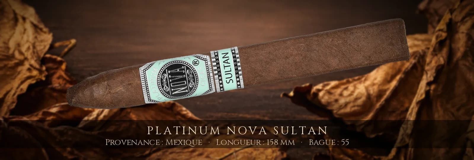 Platinum Nova Sultan — Platinum Nova — Mexique