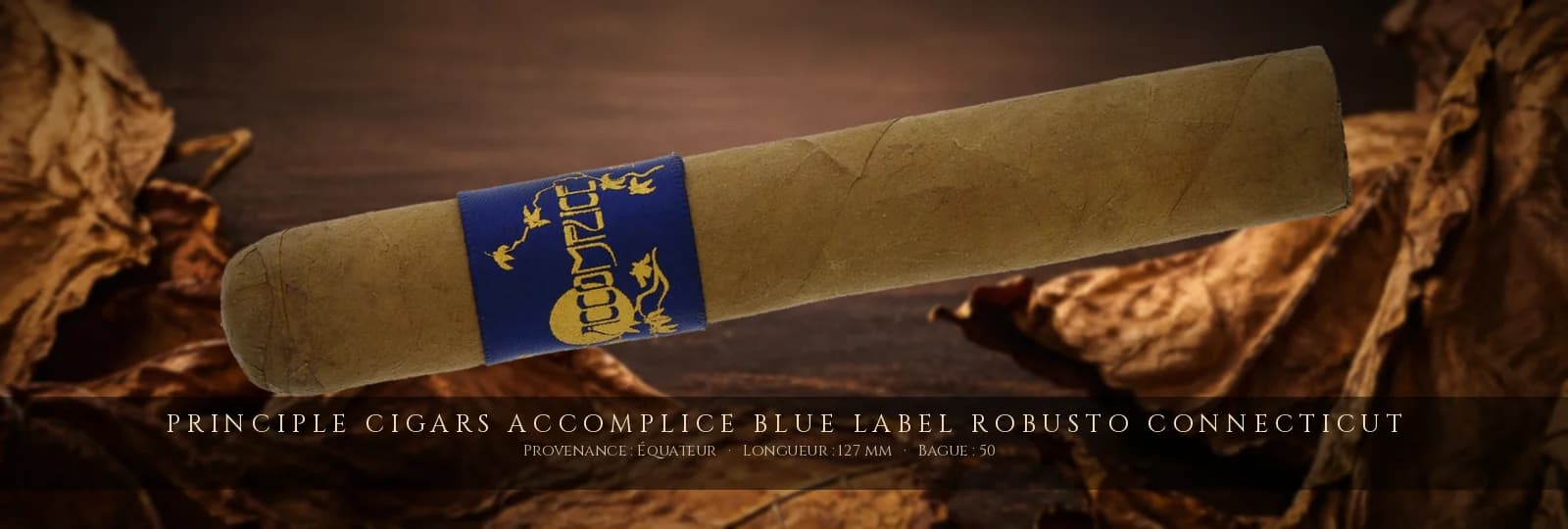 Principle Cigars Accomplice Blue Label Robusto Connecticut — Principle Cigars — Équateur