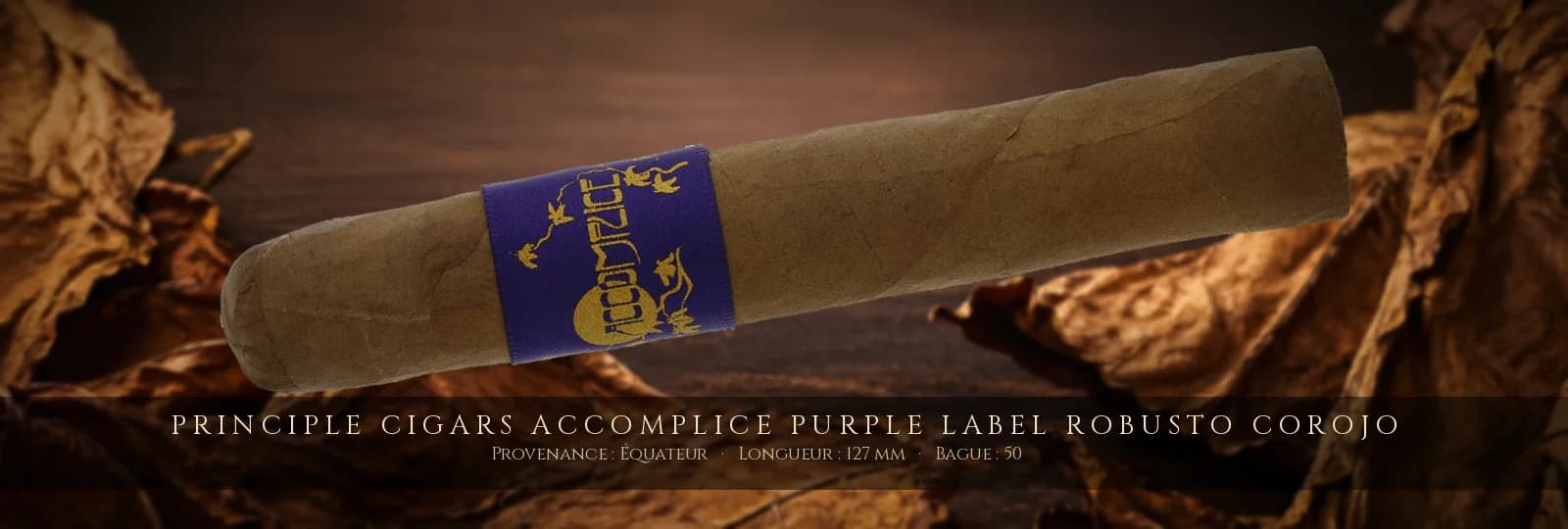 Principle Cigars Accomplice Purple Label Robusto Corojo — Principle Cigars — Équateur