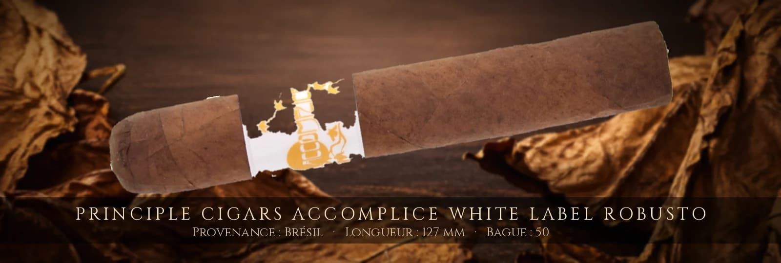 Principle Cigars Accomplice White Label Robusto — Principle Cigars — Brésil