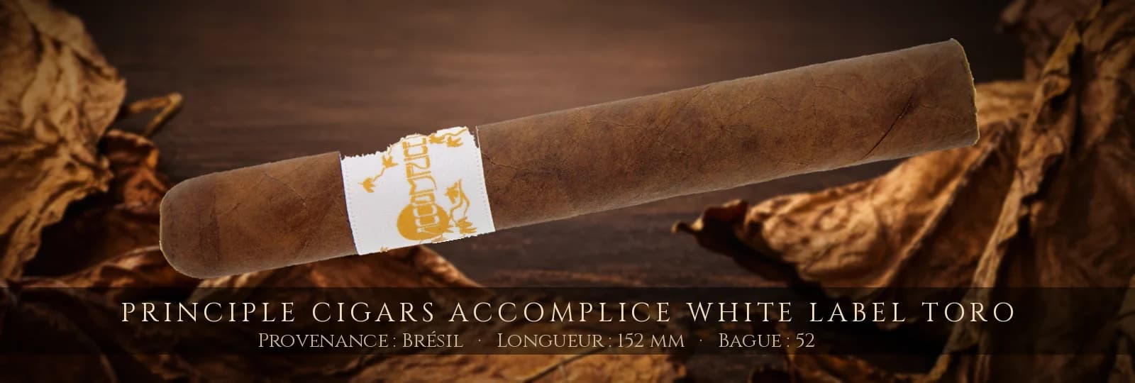 Principle Cigars Accomplice White Label Toro — Principle Cigars — Brésil