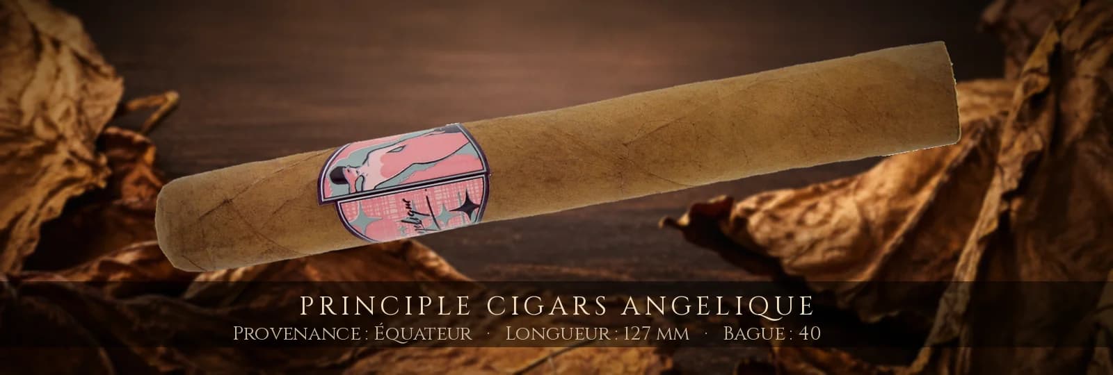 Principle Cigars Angelique — Principle Cigars — Équateur