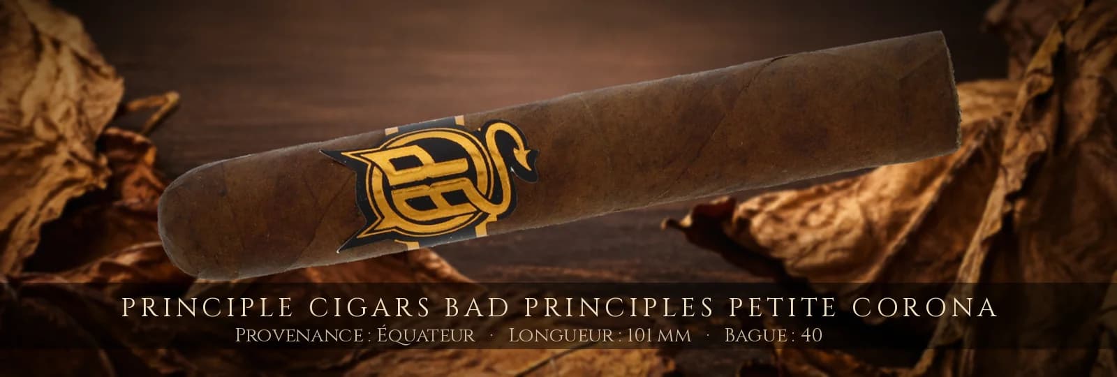 Principle Cigars Bad Principles Petite Corona — Principle Cigars — Équateur