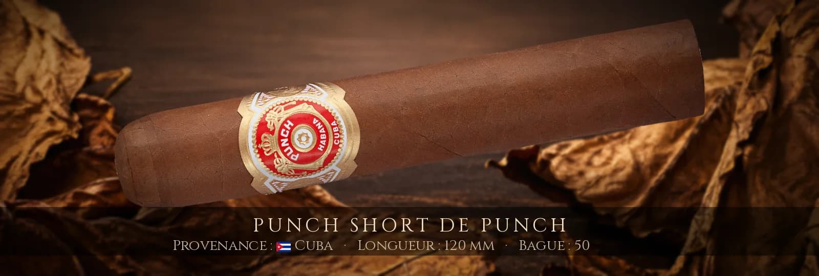 Punch Short de Punch — Punch — Cuba