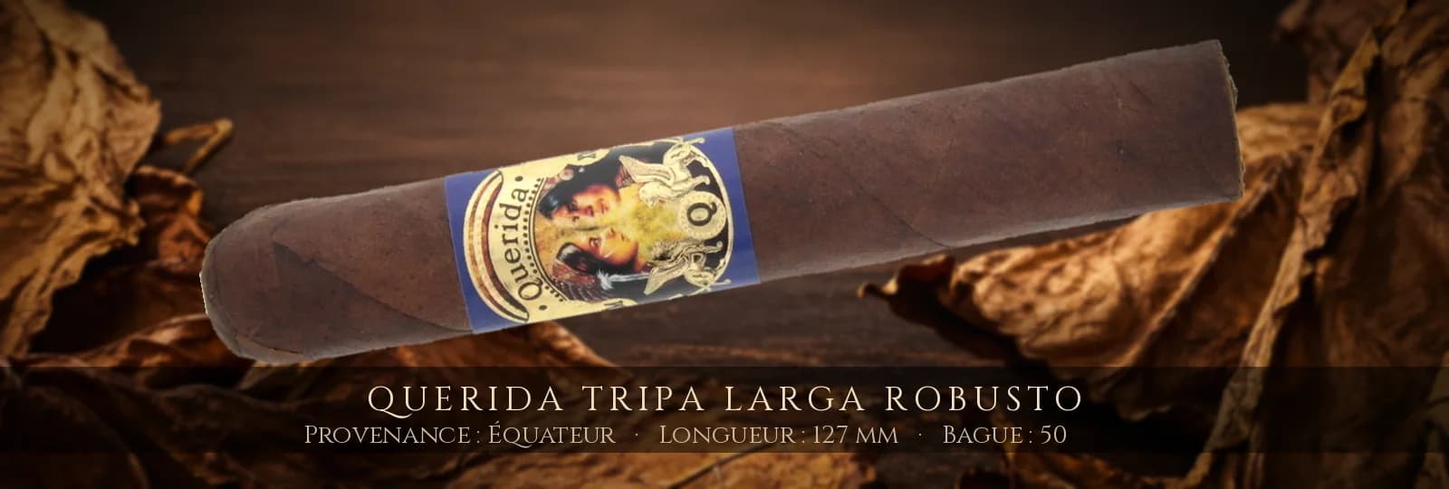 Querida Tripa Larga Robusto — Querida — Équateur