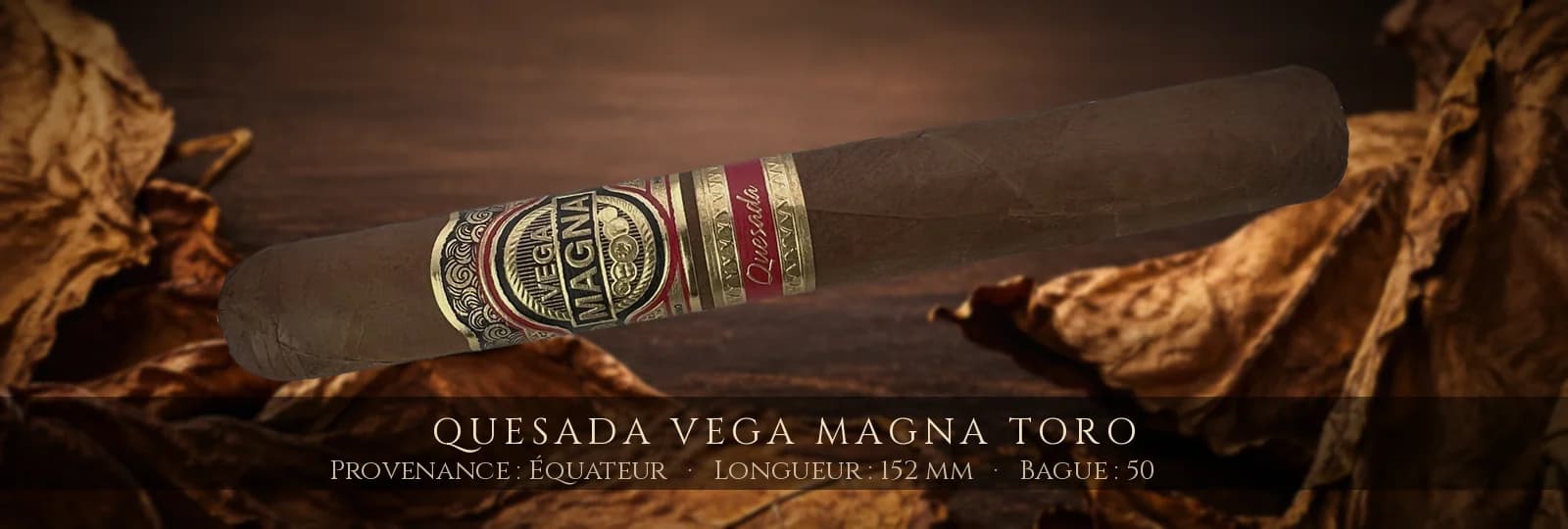 Quesada Vega Magna Toro — Quesada — Équateur