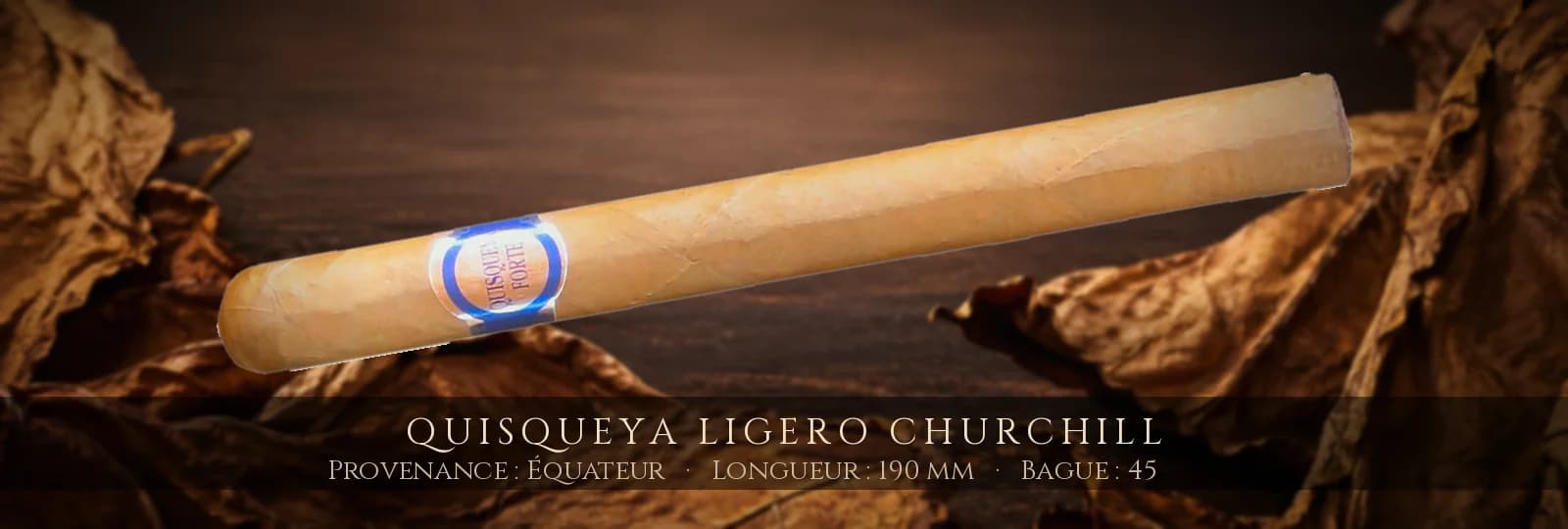 Quisqueya Ligero Churchill — Quisqueya — Équateur