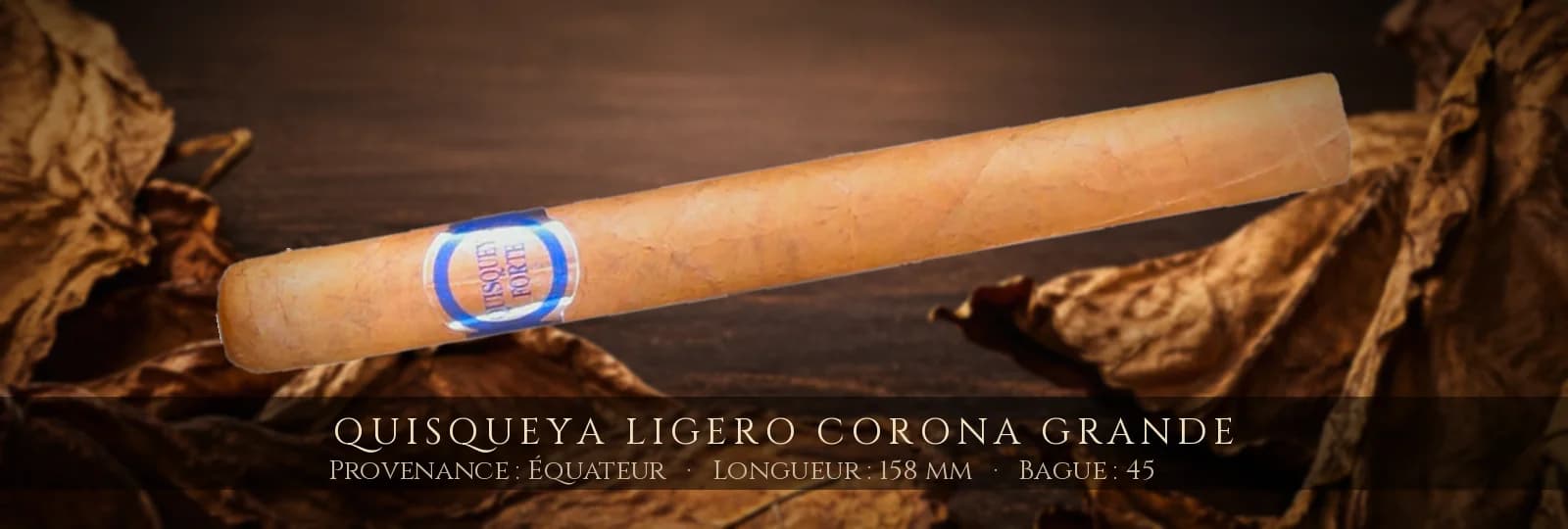 Quisqueya Ligero Corona Grande — Quisqueya — Équateur