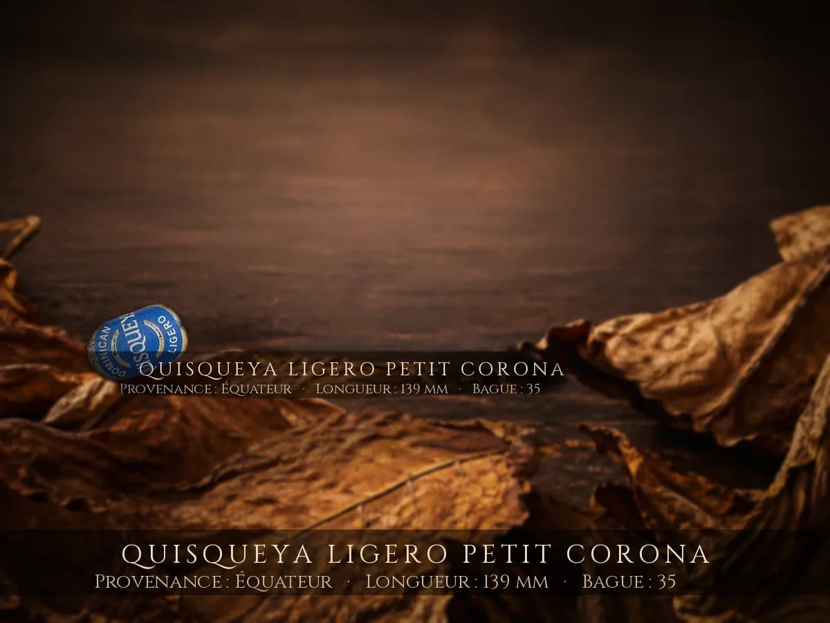 Quisqueya Ligero Petit Corona — Quisqueya — Équateur