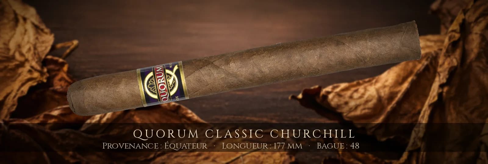 Quorum Classic Churchill — Quorum — Équateur