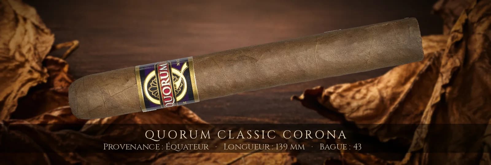 Quorum Classic Corona — Quorum — Équateur