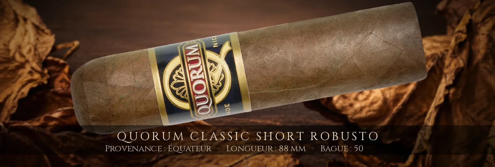 Quorum Classic Short Robusto — Quorum — Équateur