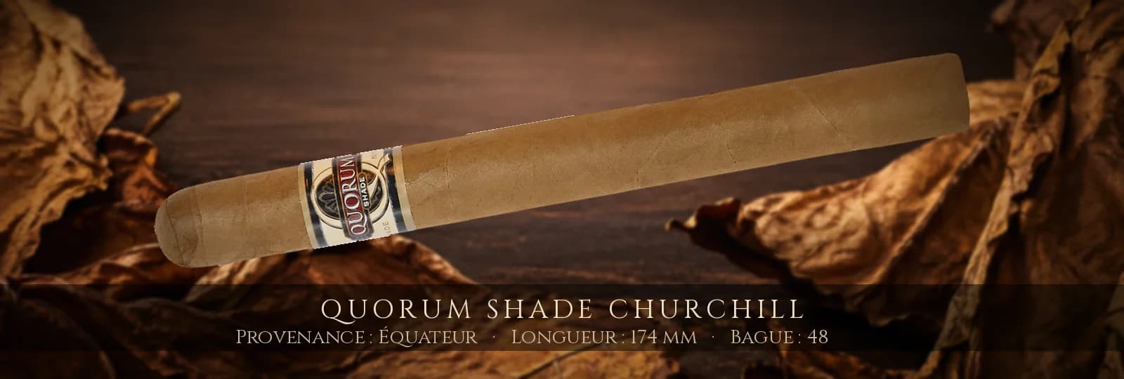 Quorum SHADE Churchill — Quorum — Équateur