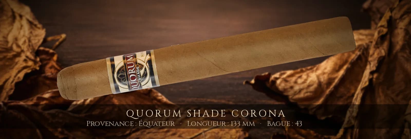 Quorum SHADE Corona — Quorum — Équateur