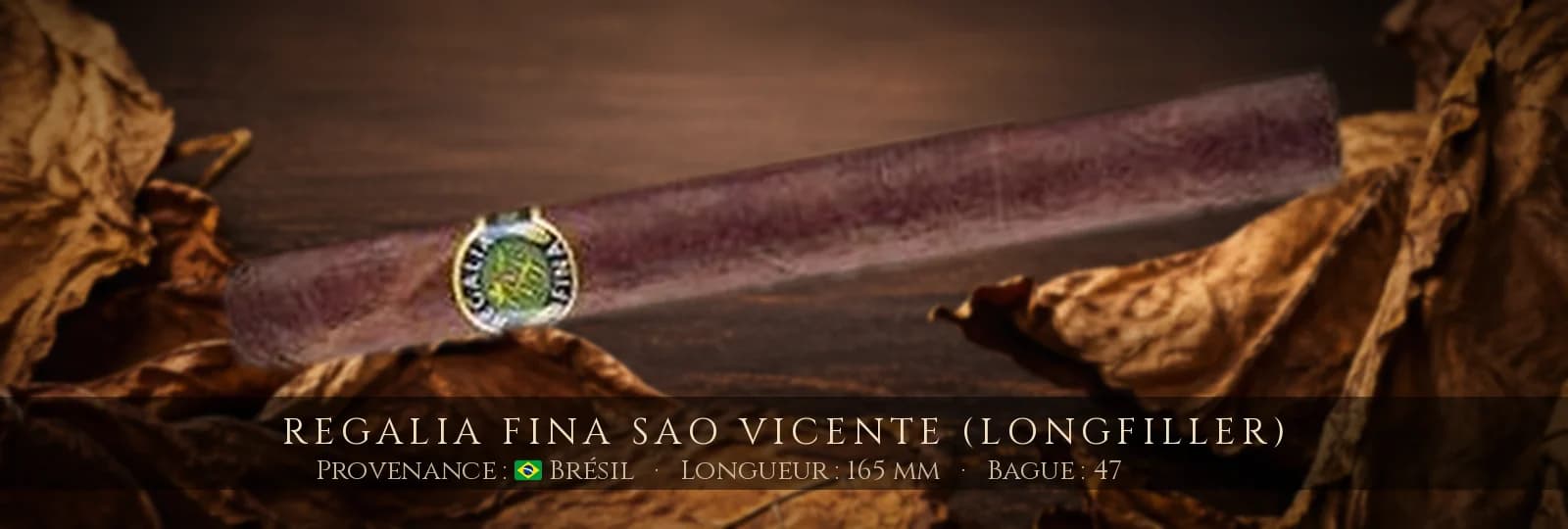 Regalia Fina Sao Vicente (Longfiller) — Regalia Fina — Brésil