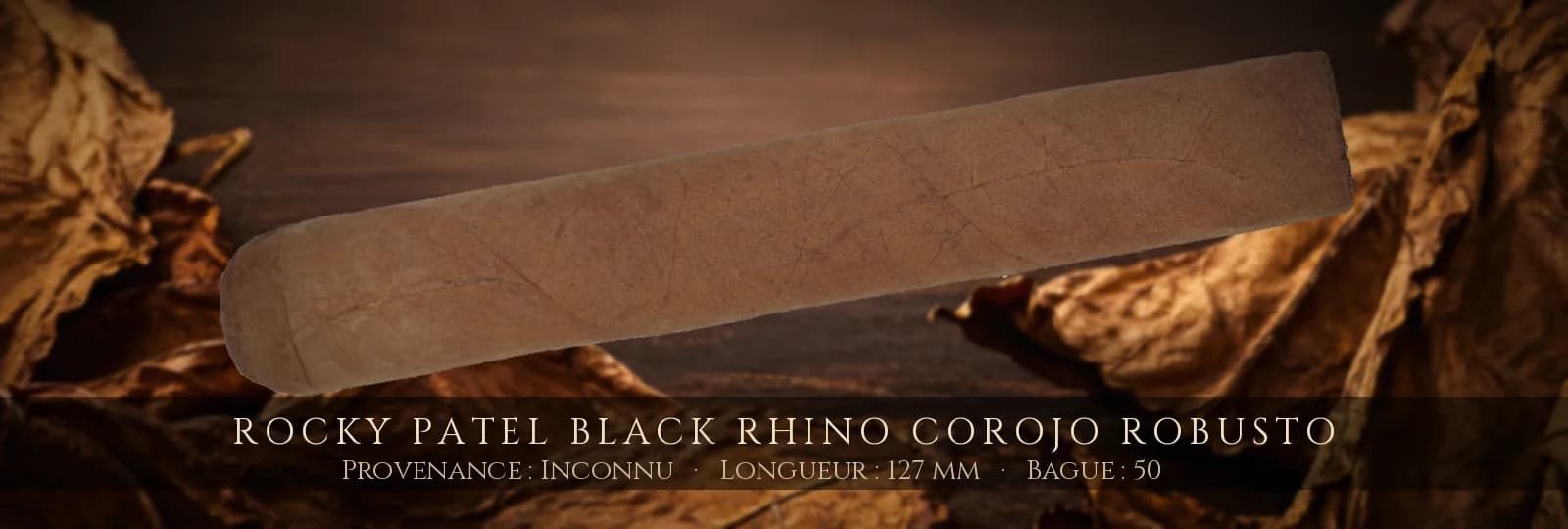 Rocky Patel Black Rhino Corojo Robusto — Rocky Patel — Inconnu