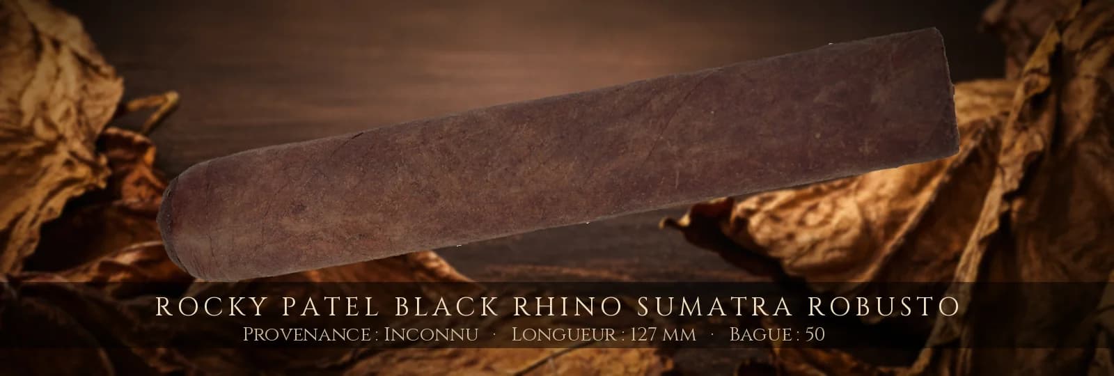 Rocky Patel Black Rhino Sumatra Robusto — Rocky Patel — Inconnu