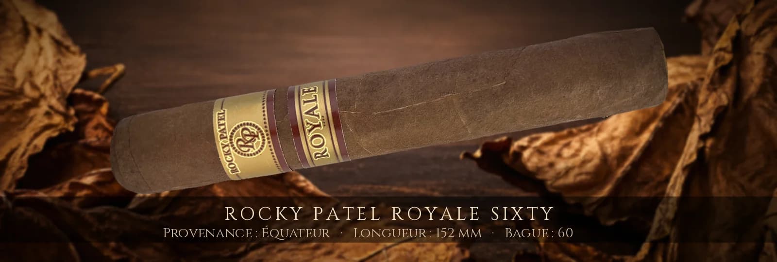 Rocky Patel Royale Sixty — Rocky Patel — Équateur