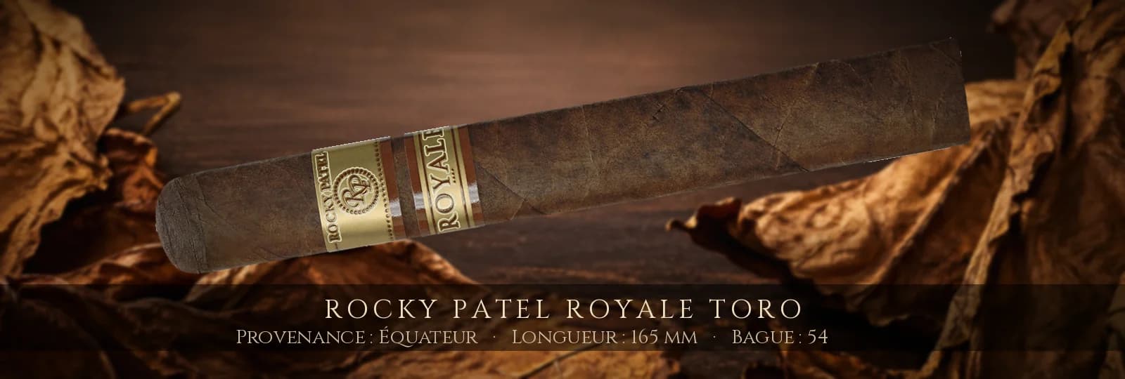 Rocky Patel Royale Toro — Rocky Patel — Équateur