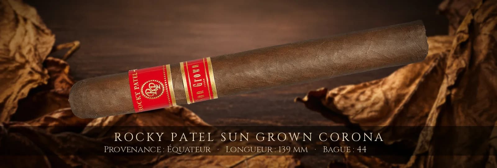 Rocky Patel Sun Grown Corona — Rocky Patel — Équateur