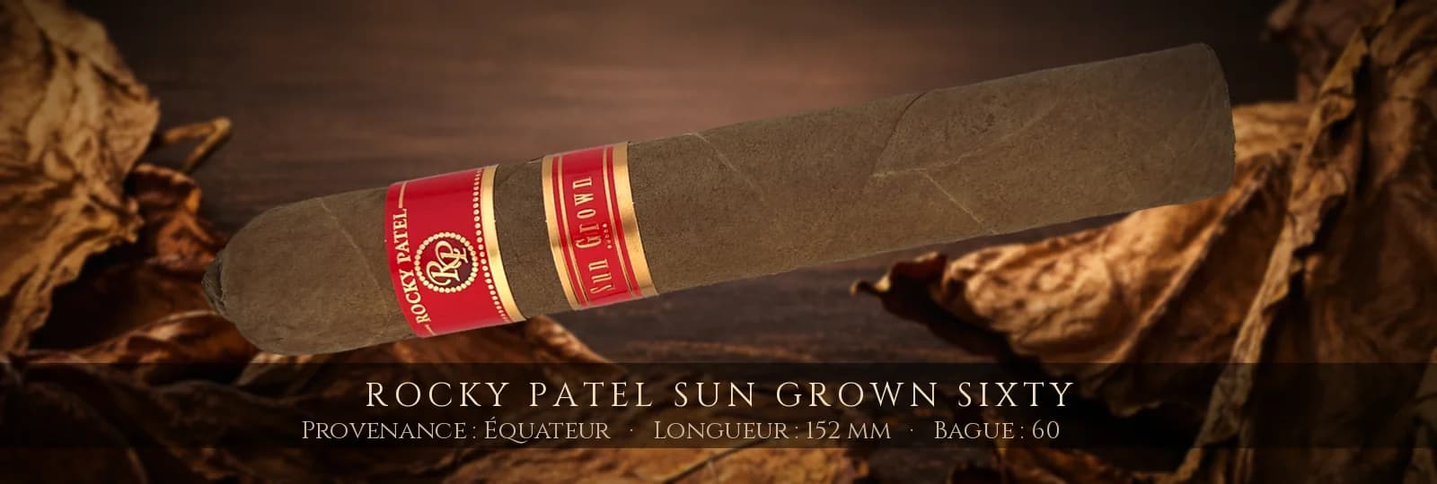 Rocky Patel Sun Grown Sixty — Rocky Patel — Équateur