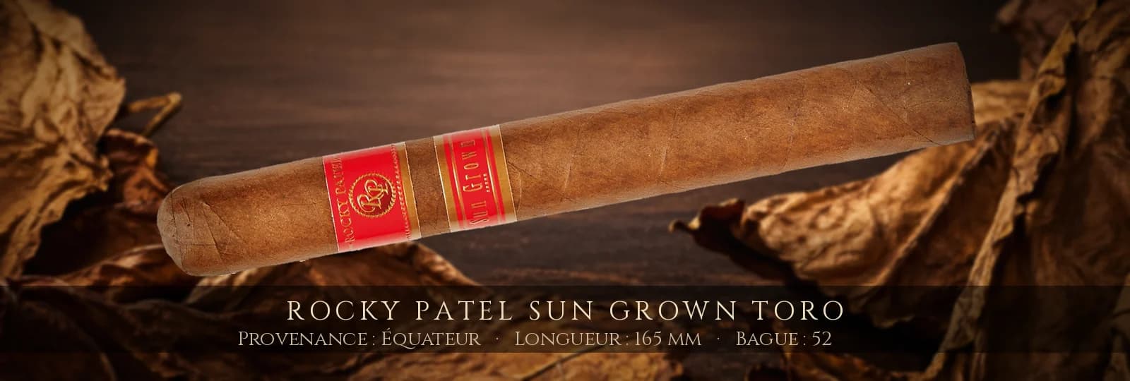 Rocky Patel Sun Grown Toro — Rocky Patel — Équateur