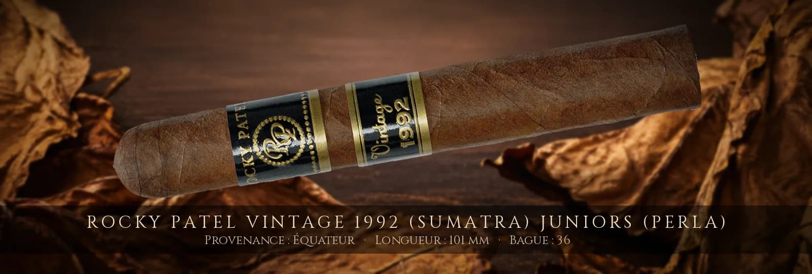 Rocky Patel Vintage 1992 (Sumatra) Juniors (Perla) — Rocky Patel — Équateur
